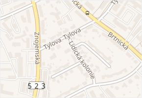 Tylova v obci Jihlava - mapa ulice
