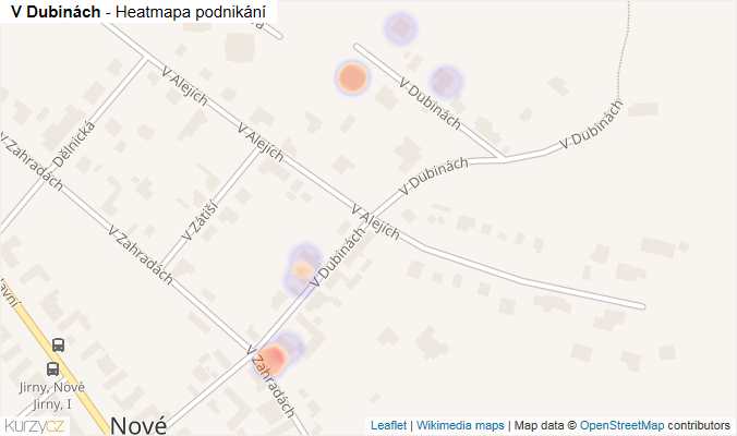 Mapa V Dubinách - Firmy v ulici.