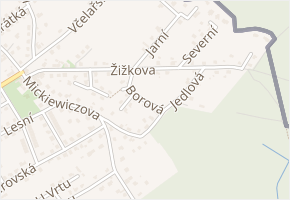 Borová v obci Karviná - mapa ulice