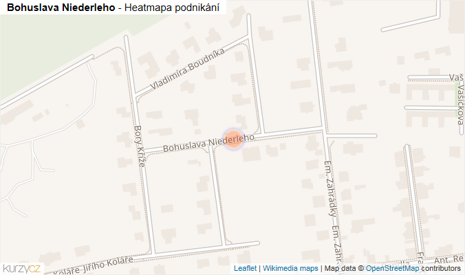 Mapa Bohuslava Niederleho - Firmy v ulici.