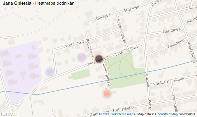 Mapa Jana Opletala - Firmy v ulici.
