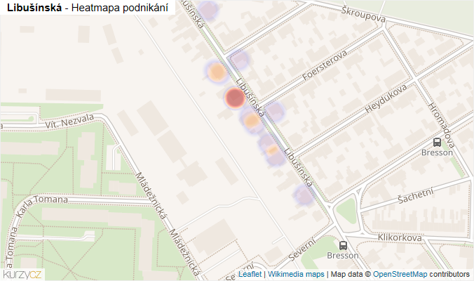 Mapa Libušínská - Firmy v ulici.