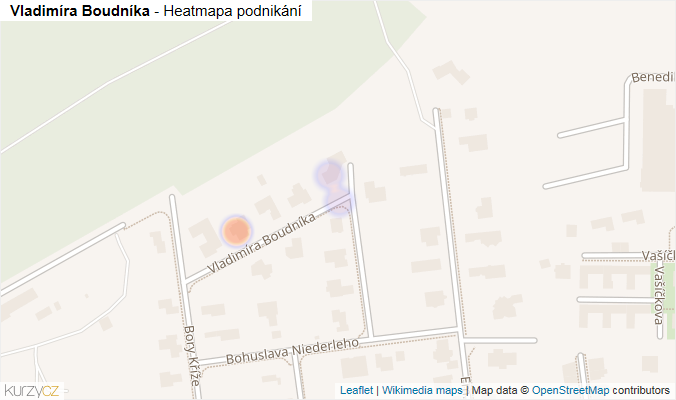 Mapa Vladimíra Boudníka - Firmy v ulici.