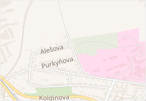 Borská v obci Klatovy - mapa ulice
