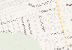 Haise Týneckého v obci Klatovy - mapa ulice