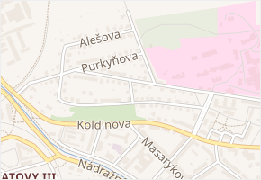 Lesní v obci Klatovy - mapa ulice