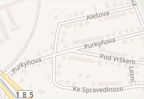 Purkyňova v obci Klatovy - mapa ulice