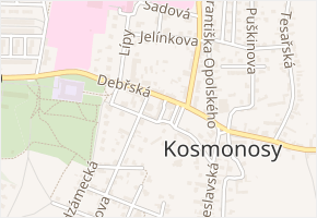 Steckerova v obci Kosmonosy - mapa ulice