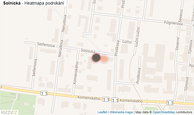 Mapa Solnická - Firmy v ulici.