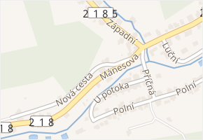 Mánesova v obci Kraslice - mapa ulice