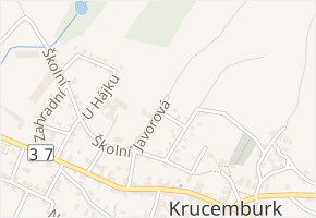 Javorová v obci Krucemburk - mapa ulice