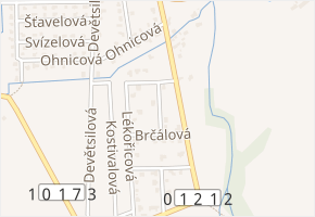 Bledulková v obci Květnice - mapa ulice
