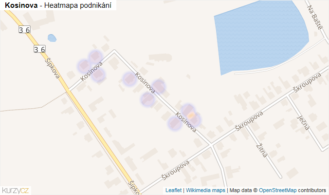 Mapa Kosinova - Firmy v ulici.
