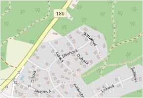 Jasanová v obci Letkov - mapa ulice