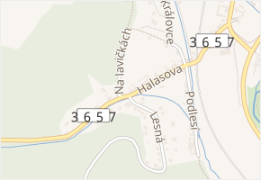 Halasova v obci Letovice - mapa ulice