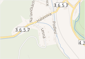 Lesná v obci Letovice - mapa ulice