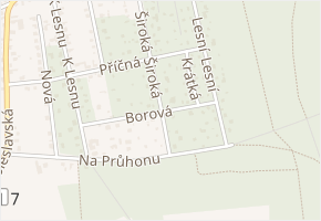 Borová v obci Lhota - mapa ulice