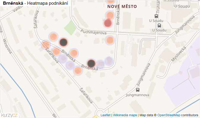 Mapa Brněnská - Firmy v ulici.