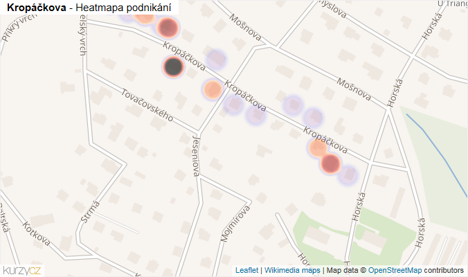 Mapa Kropáčkova - Firmy v ulici.