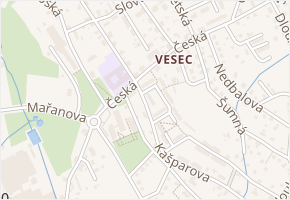 Pacltova v obci Liberec - mapa ulice