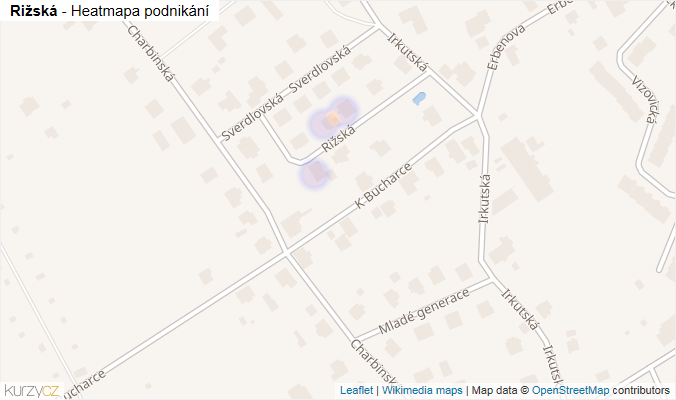 Mapa Rižská - Firmy v ulici.