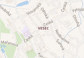 U Družiny v obci Liberec - mapa ulice