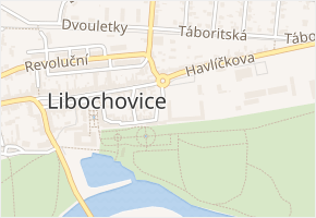 Turinského v obci Libochovice - mapa ulice