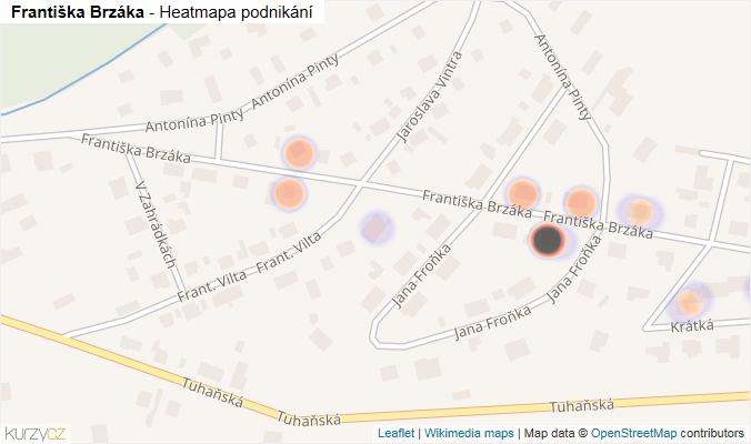 Mapa Františka Brzáka - Firmy v ulici.