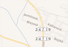 Březová v obci Litoměřice - mapa ulice