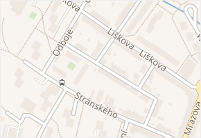 Dobrovského v obci Litoměřice - mapa ulice