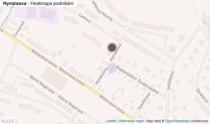 Mapa Hynaisova - Firmy v ulici.