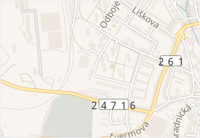 Mládežnická v obci Litoměřice - mapa ulice