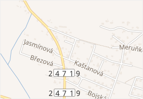 Ořechová v obci Litoměřice - mapa ulice