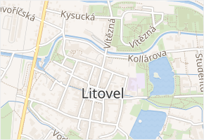Masarykova v obci Litovel - mapa ulice