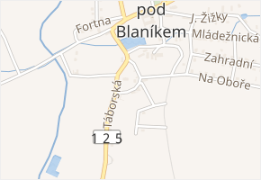U Kovárny v obci Louňovice pod Blaníkem - mapa ulice