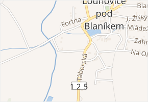 V Chalupách v obci Louňovice pod Blaníkem - mapa ulice