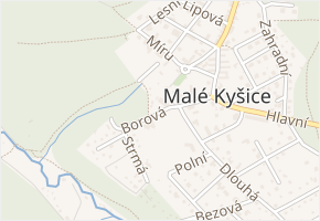 Borová v obci Malé Kyšice - mapa ulice