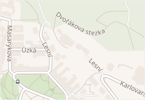 Lesní v obci Mariánské Lázně - mapa ulice