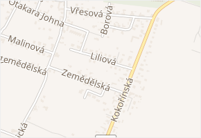 Liliová v obci Mělník - mapa ulice
