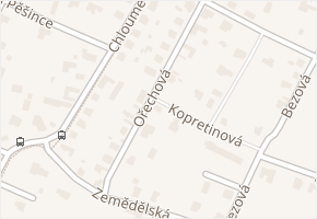 Ořechová v obci Mělník - mapa ulice