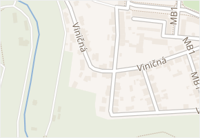 Viničná v obci Mladá Boleslav - mapa ulice