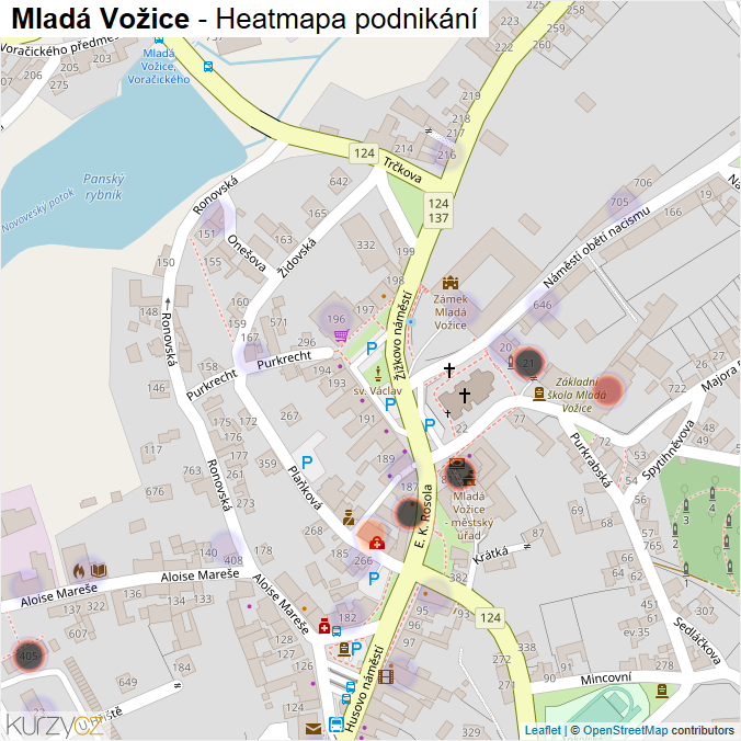 Mapa Mladá Vožice - Firmy v obci.