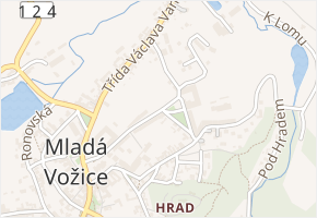 Náměstí obětí nacismu v obci Mladá Vožice - mapa ulice