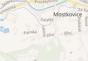 Lesná v obci Mostkovice - mapa ulice