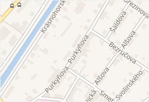 Purkyňova v obci Náchod - mapa ulice