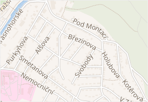 Raichlové v obci Náchod - mapa ulice