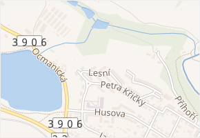 Lesní v obci Náměšť nad Oslavou - mapa ulice