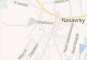 Truhlářská v obci Nasavrky - mapa ulice