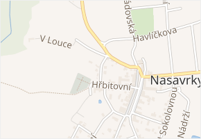 Zahradní v obci Nasavrky - mapa ulice
