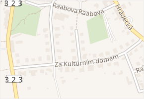 Za Kulturním domem v obci Nechanice - mapa ulice